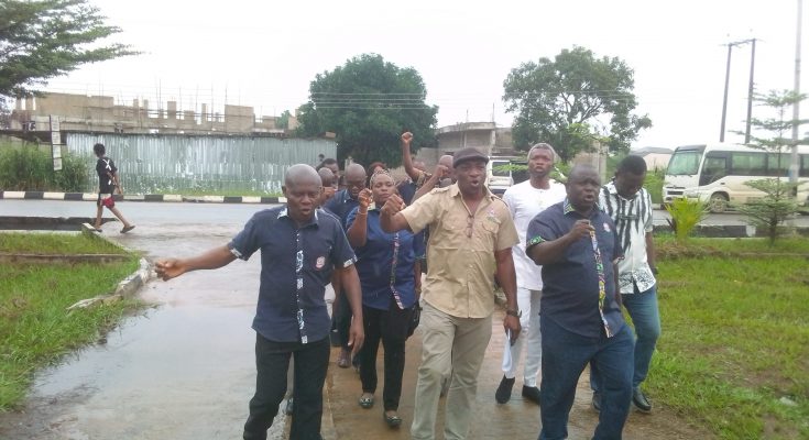 ASUU-UNIZIK joins nationwide rally in support of victimised branches