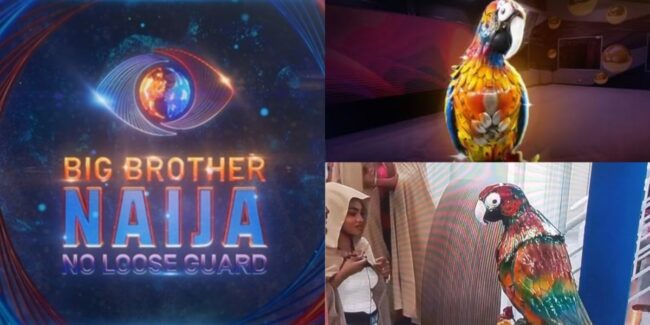 BBNaija S9: Big brother reintroduces drama-inducing parrot