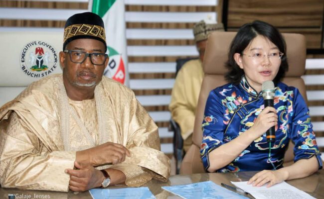 Bauchi govt, China's Minsheng group sign historic mining