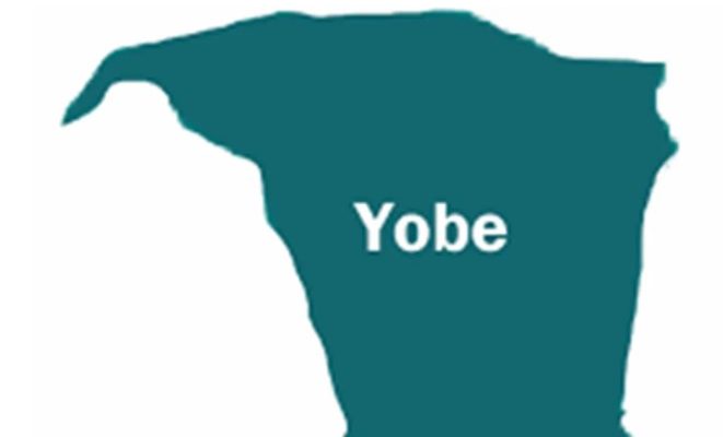 Cholera Claims Nine Lives In Yobe