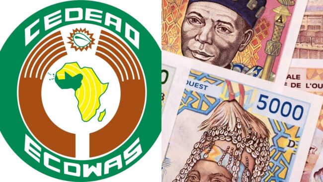 ECOWAS to dump single currency initiative