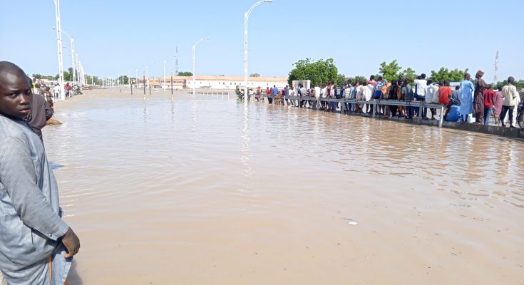 Flood wreaks havoc in Maiduguri, submerges Shehu's place, others