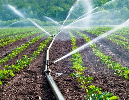 How South-West farmers can key into low-cost irrigation farming youths, farming