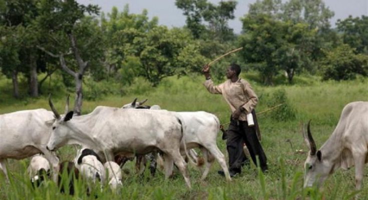 MACBAN bans underage herders, night grazing to curb clashes