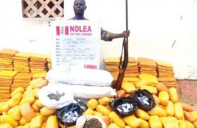 NDLEA Arrest Wanted Drug Trafficking Kingpin, Ex-Convict In Lagos, Ogun