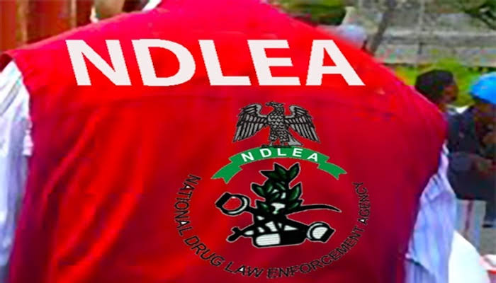 NDLEA Arrests Suspect With Illegal Substances At Kano Airport