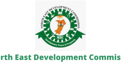 NEDC promises immediate intervention in Yobe