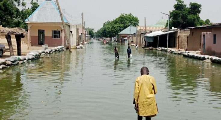 Panic As Two Children Killed, Farmlands Destroyed In Kaduna Flood