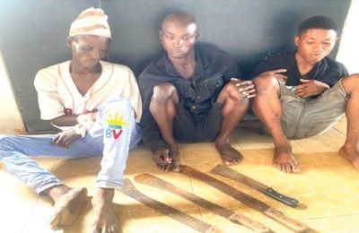 Police Arrest Notorious Ogun Robbers In Lagos Hideout