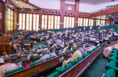 Reps parley stakeholders to end theft, vandalisation of power facility