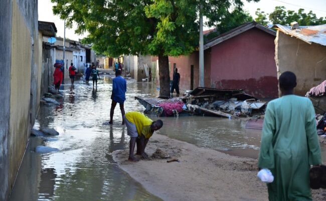 WHO ramps up emergency response in Nigeria