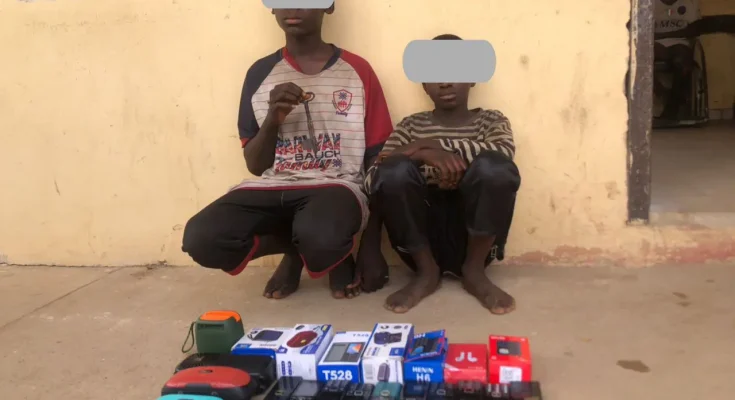 Bauchi Police Nab Two Teenagers Over Alleged Theft, Recover Exhibits