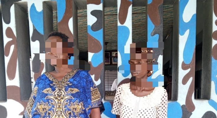 Delta Police Nab Two Women For Buying Newborn Baby N2m