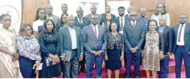 Law experts advocate sustained capacity development