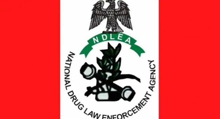 NDLEA Kaduna Records 1,045.93kg Substance Seizure, 420 Arrests In Third Quarter 2024