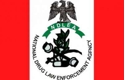 NDLEA Seizes Codeine, Tapentadol Worth N7 Billion At Lagos, Port Harcourt Ports