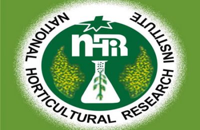 NIHORT empowers staff NIHORT trains 3,580 farmers in crop production, NIHORT. agricultural, tomato, telfairia, women, youths, FCT