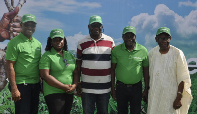 We're building cassava value chain business to boost Nigerian