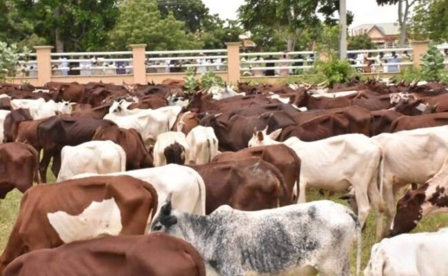 Why formation of livestock ministry may suffer setback