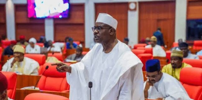 ‘You know circumstance of your predecessor's removal,’ Ndume warns Yiltwada