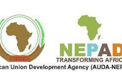 AUDA-NEPAD helmsman pledges support for FG's poverty eradication, food security policies