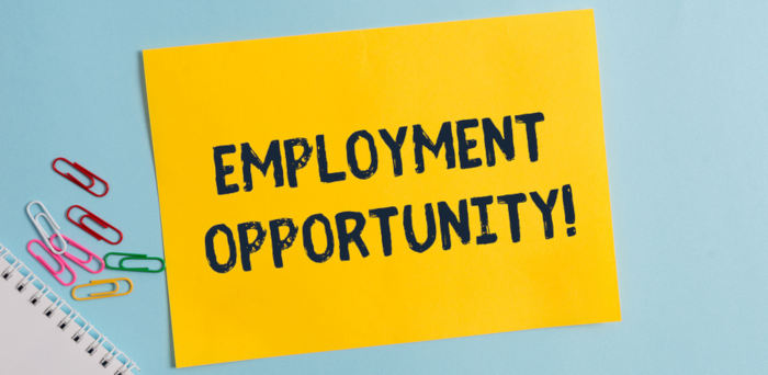 Text sign showing Employment Opportunity. Conceptual photo no Discrimination against Applicant Equal Policy Plain cardboard and writing equipment placed above pastel colour backdrop.