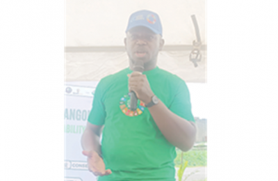 Oyo State to debut at COP29, commissioner says at Green Hangout