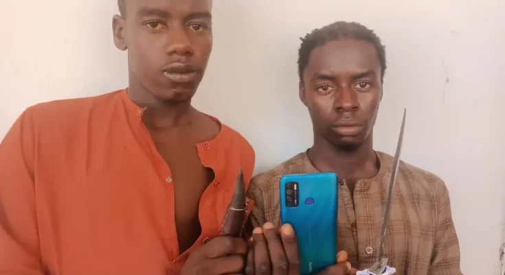 Two Teenage Robbery Suspects Apprehended In Adamawa