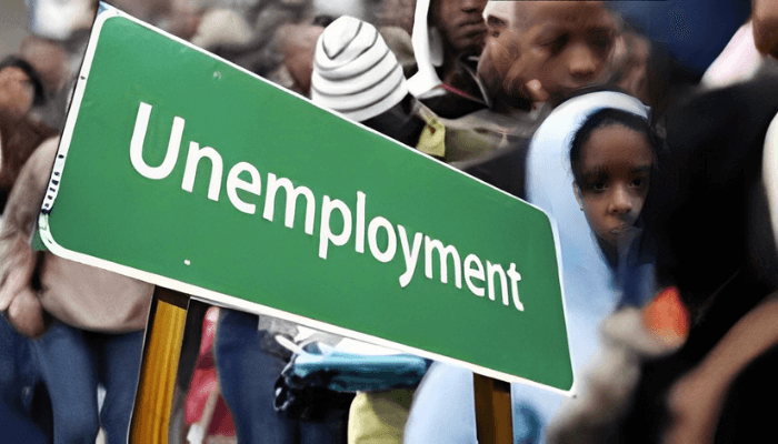 Unemployment rate in Nigeria drops to 4.3% in Q2 2024 — NBS