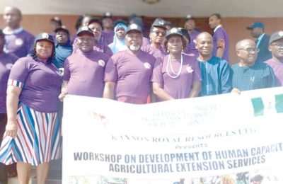 Why there must be synergy among extension service agents, farmers, industries —Provost, FCAH&PT