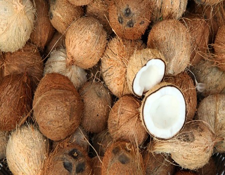 Daily uses of coconut, Coconuts