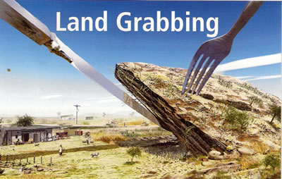 allegations of land grabbing, land grabbing, FG, States,