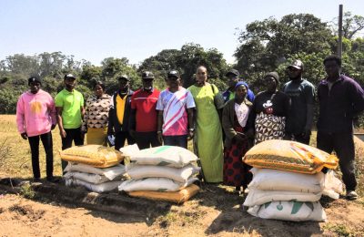 FG provides subsidies for 500 wheat farmers in Cross River