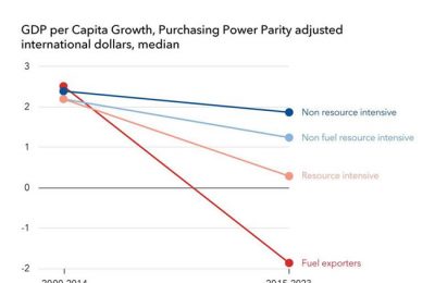 Growth in Sub-Saharan Africa is Diverging