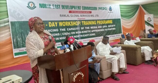 NEDC MD tasks journalists on North-East humanitarian reporting