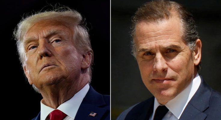 Trump's coming: Can Presidential pardon for Hunter Biden be overturned?