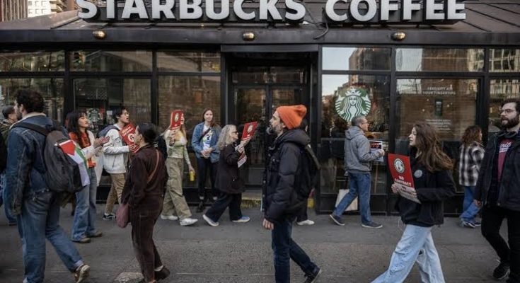 US: Starbucks workers union announces pre-Christmas strike