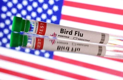 US records first human case of bird flu