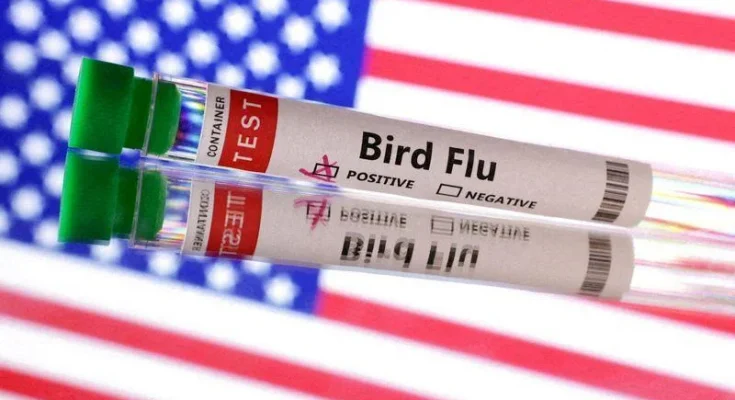 US records first human case of bird flu