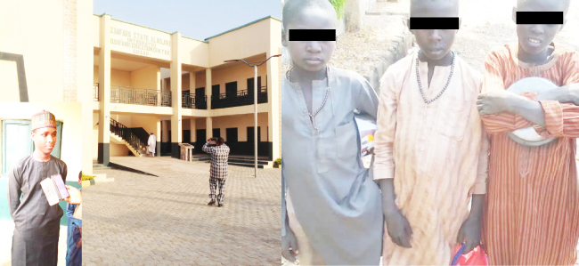 North’s Almajiri children plead for