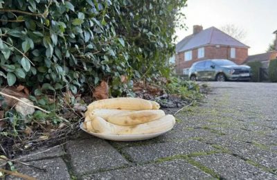 Residents raise alarm over monthly peeled banana plate at UK junction