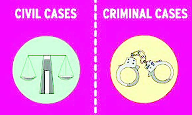 What differentiates civil or criminal cases?